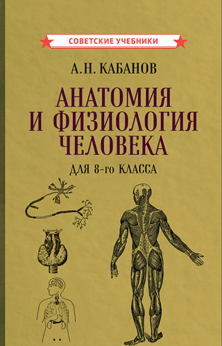 Анатомия и физиология человека для 8-го класса