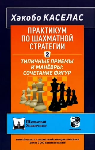 Практикум по шахматной стратегии 2. Типичные приёмы и манёвры: сочетание фигур