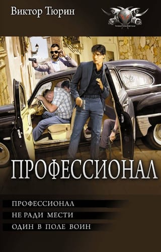 Профессионал. Не ради мести. Один в поле воин