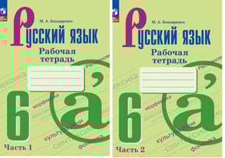 Русский язык 6 класс. Рабочая тетрадь. В 2 частях