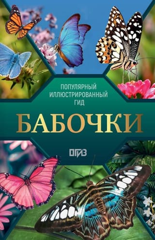 Бабочки. Иллюстрированный гид