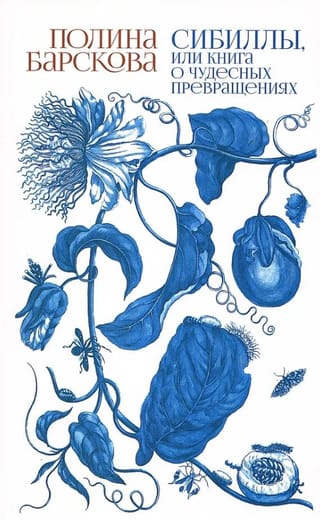 Сибиллы, или книга о чудесных превращениях