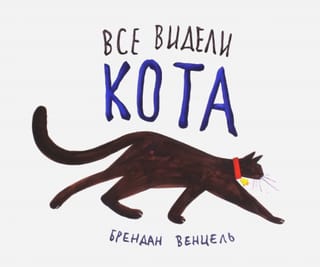 Все видели кота