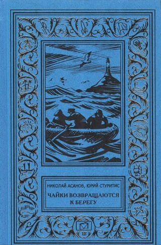 Чайки возвращаются к берегу