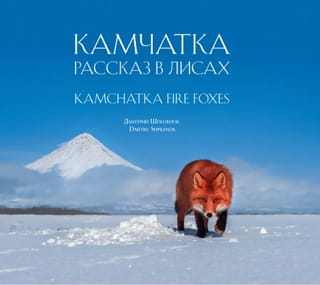 Камчатка. Рассказ в лисах