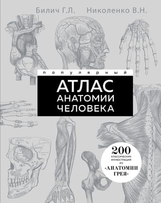Популярный атлас анатомии человека. 200 классических иллюстраций из «Анатомии Грея»