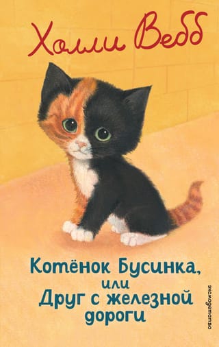 Котенок Бусинка, или Друг с железной дороги