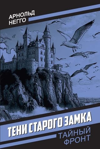 Тени старого замка