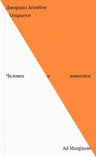 Открытое. Человек и животное