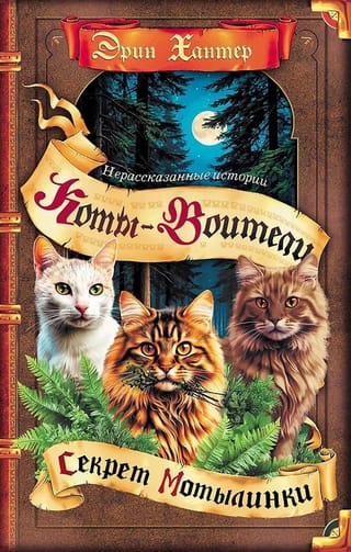 Нерассказанные истории. Секрет Мотылинки