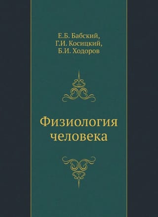 Физиология человека