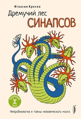 Дремучий лес синапсов. Нейробиология и тайны человеческого мозга