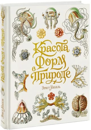 Красота форм в природе