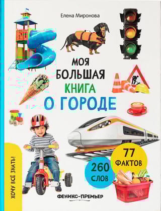Моя большая книга о городе