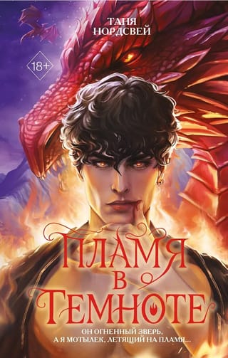 Пламя в темноте