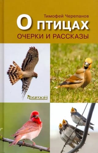 О птицах. Очерки и рассказы