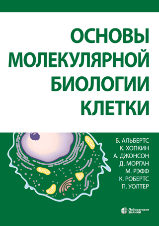 Основы молекулярной биологии клетки