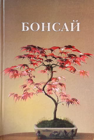 Бонсай