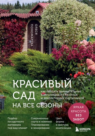 Красивый сад на все сезоны. Как создать выразительные композиции из хвойных и декоративных кустарников
