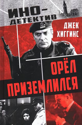 Орел приземлился