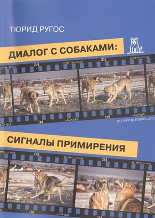 Диалог с собаками: сигналы примирения