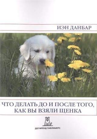 Что делать до и после того, как вы взяли щенка