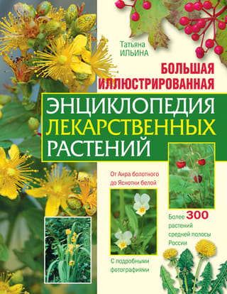 Большая иллюстрированная энциклопедия лекарственных растений