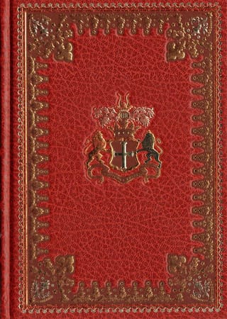 Пятнадцатилетний капитан