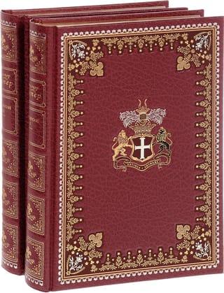 Шпион. В 2 томах