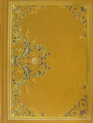 Белый вождь