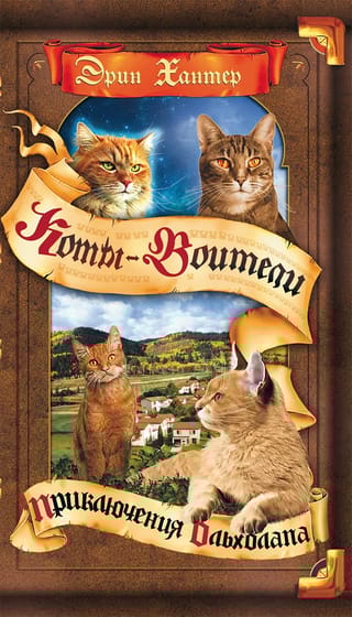 Видение теней. Книга 1. Приключения Ольхолапа