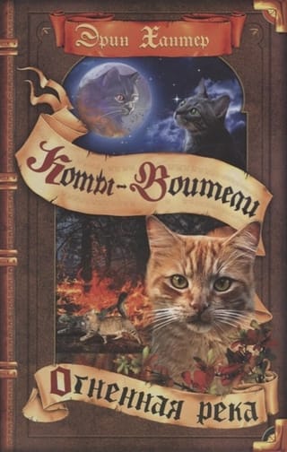 Видение теней. Книга 5. Огненная река