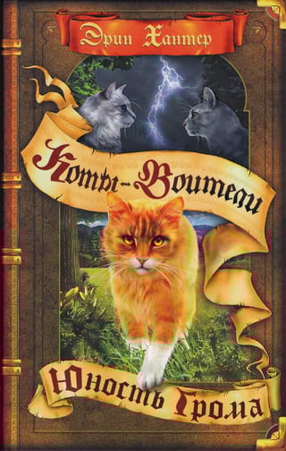 Начало племен. Книга 2. Юность Грома