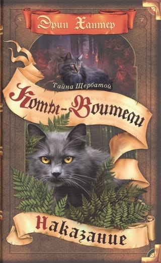 Тайна Щербатой. Книга 2. Наказание