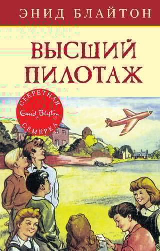Секретная семерка. Книга 8. Высший пилотаж