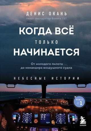 Небесные истории. Книга 1. Когда всё только начинается. От молодого пилота до командира воздушного судна