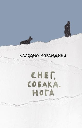 Снег, собака,  нога