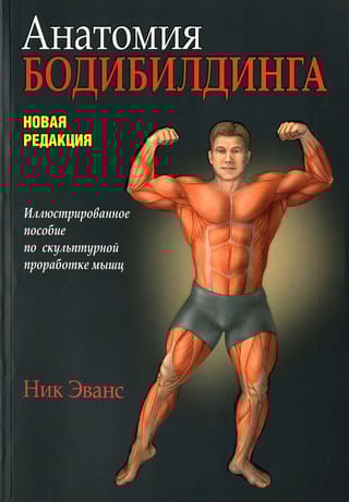 Анатомия  бодибилдинга