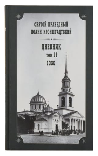 Дневник. Том 11. 1866