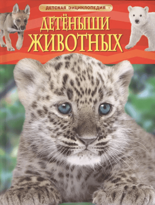 Детеныши животных. Детская энциклопедия