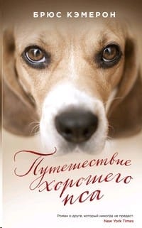 Путешествие хорошего пса