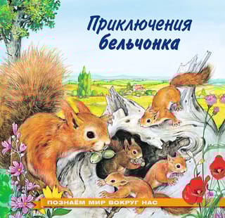 Познаем мир вокруг нас. Приключения бельчонка