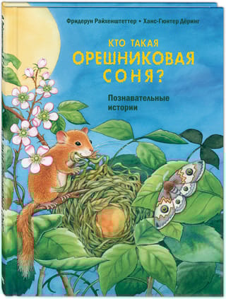 Кто такая орешниковая соня. Познавательные истории