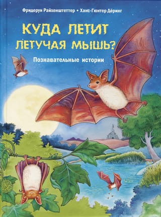 Куда летит летучая мышь? Познавательные истории