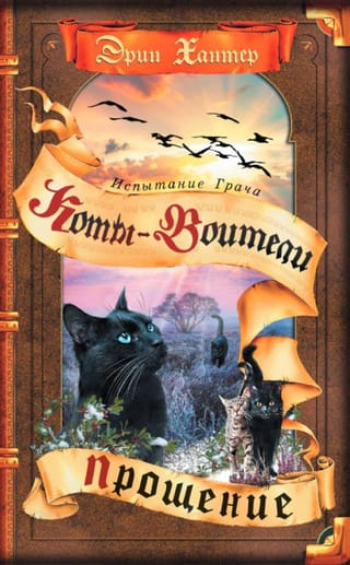 Испытание  Грача. Книга 2. Прощение