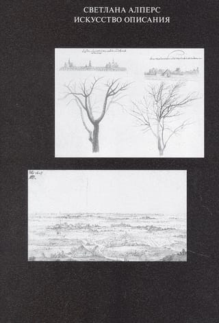 Искусство
  описания. Голландская живопись в XVII веке