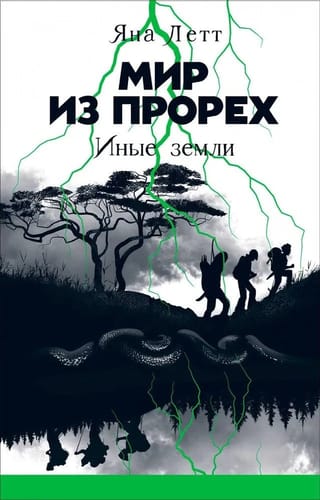 Мир из прорех. Книга 3. Иные земли
