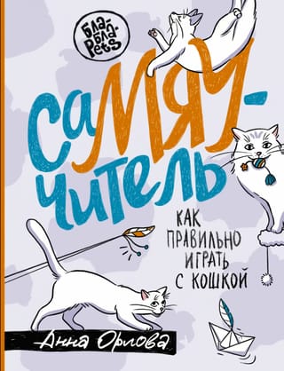 СаМЯУчитель. Как правильно играть с кошкой