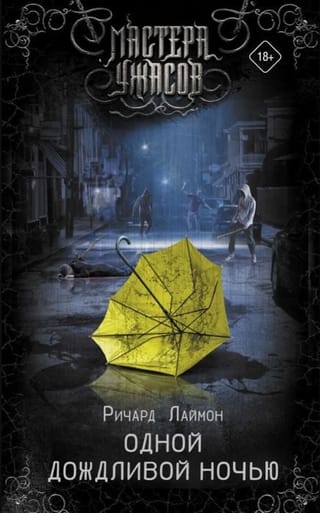 Одной  дождливой ночью