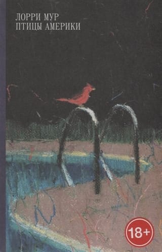 Птицы Америки